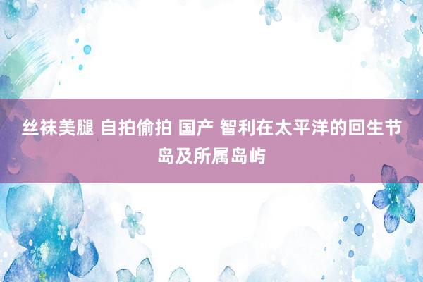丝袜美腿 自拍偷拍 国产 智利在太平洋的回生节岛及所属岛屿