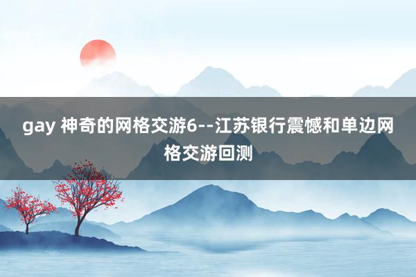 gay 神奇的网格交游6--江苏银行震憾和单边网格交游回测