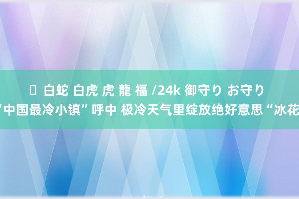✨白蛇 白虎 虎 龍 福 /24k 御守り お守り “中国最冷小镇”呼中 极冷天气里绽放绝好意思“冰花”