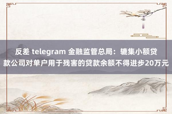 反差 telegram 金融监管总局：辘集小额贷款公司对单户用于残害的贷款余额不得进步20万元