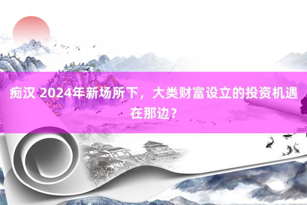 痴汉 2024年新场所下，大类财富设立的投资机遇在那边？