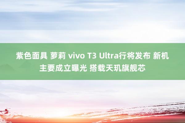 紫色面具 萝莉 vivo T3 Ultra行将发布 新机主要成立曝光 搭载天玑旗舰芯