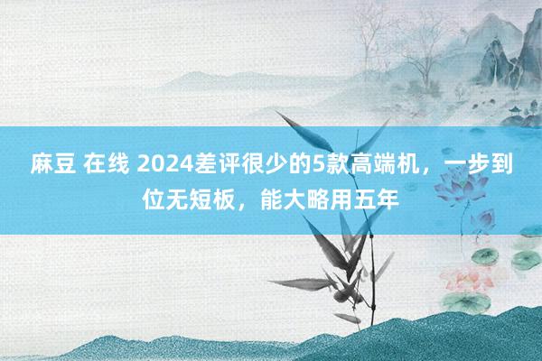 麻豆 在线 2024差评很少的5款高端机，一步到位无短板，能大略用五年