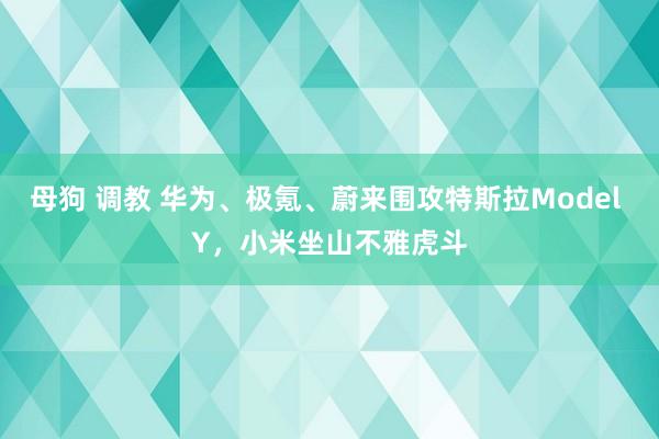 母狗 调教 华为、极氪、蔚来围攻特斯拉Model Y，小米坐山不雅虎斗