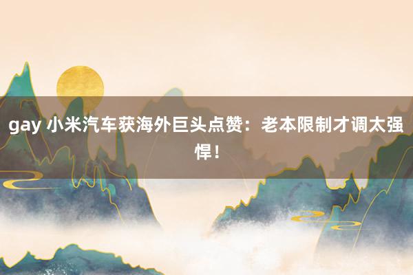 gay 小米汽车获海外巨头点赞：老本限制才调太强悍！
