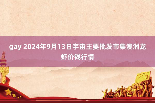 gay 2024年9月13日宇宙主要批发市集澳洲龙虾价钱行情