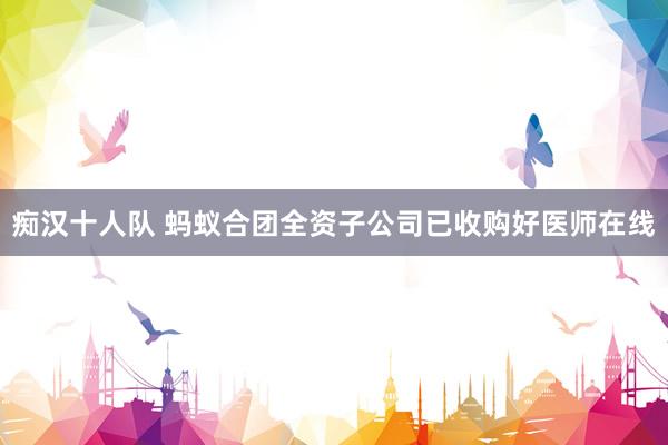 痴汉十人队 蚂蚁合团全资子公司已收购好医师在线