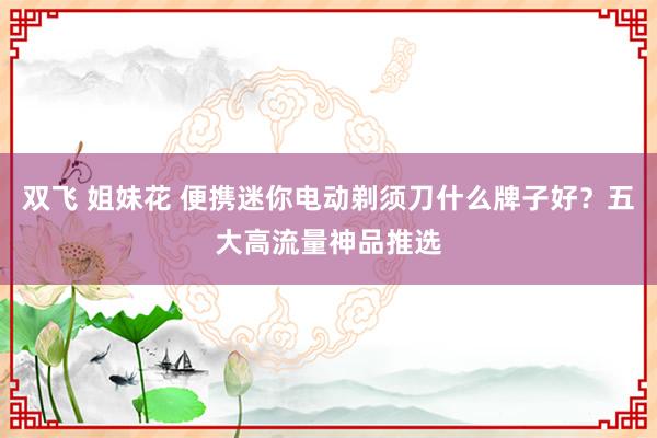双飞 姐妹花 便携迷你电动剃须刀什么牌子好？五大高流量神品推选