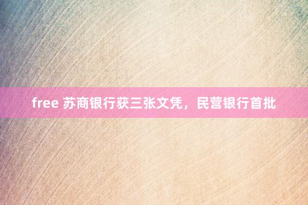 free 苏商银行获三张文凭，民营银行首批