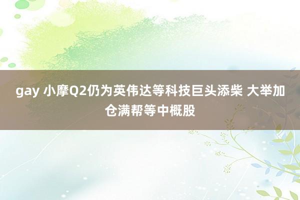 gay 小摩Q2仍为英伟达等科技巨头添柴 大举加仓满帮等中概股