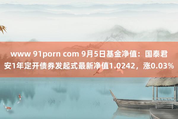 www 91porn com 9月5日基金净值：国泰君安1年定开债券发起式最新净值1.0242，涨0.03%