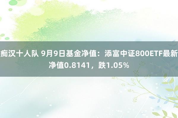 痴汉十人队 9月9日基金净值：添富中证800ETF最新净值0.8141，跌1.05%