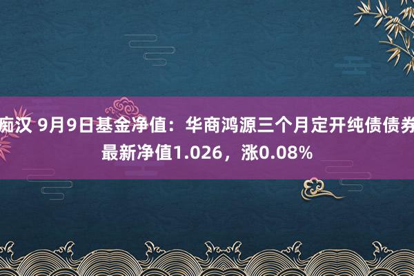 痴汉 9月9日基金净值：华商鸿源三个月定开纯债债券最新净值1.026，涨0.08%