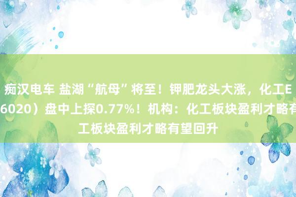 痴汉电车 盐湖“航母”将至！钾肥龙头大涨，化工ETF（516020）盘中上探0.77%！机构：化工板块盈利才略有望回升