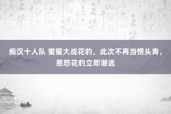 痴汉十人队 蜜獾大战花豹，此次不再当愣头青，惹怒花豹立即潜逃