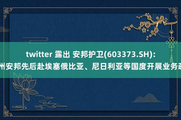 twitter 露出 安邦护卫(603373.SH): 衢州安邦先后赴埃塞俄比亚、尼日利亚等国度开展业务疏浚