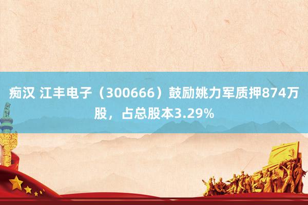 痴汉 江丰电子（300666）鼓励姚力军质押874万股，占总股本3.29%