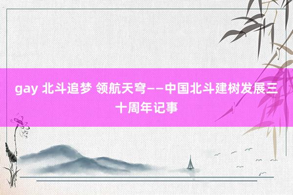 gay 北斗追梦 领航天穹——中国北斗建树发展三十周年记事