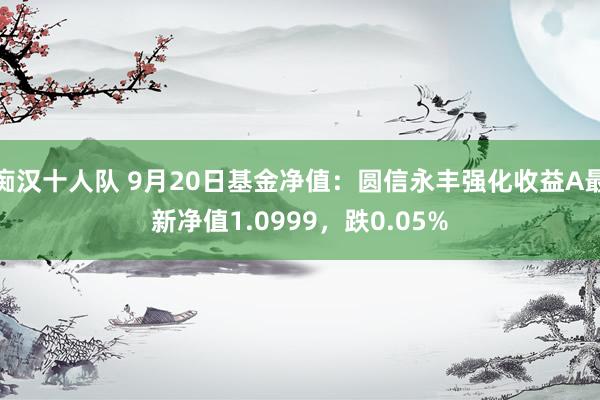 痴汉十人队 9月20日基金净值：圆信永丰强化收益A最新净值1.0999，跌0.05%
