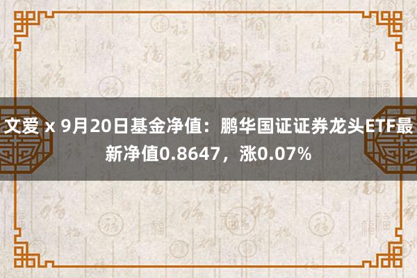 文爱 x 9月20日基金净值：鹏华国证证券龙头ETF最新净值0.8647，涨0.07%