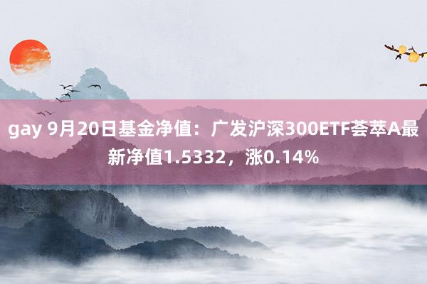 gay 9月20日基金净值：广发沪深300ETF荟萃A最新净值1.5332，涨0.14%