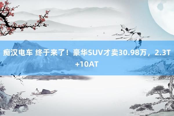 痴汉电车 终于来了！豪华SUV才卖30.98万，2.3T+10AT