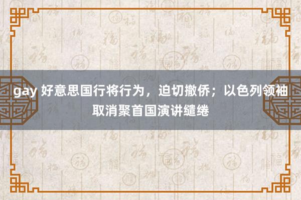 gay 好意思国行将行为，迫切撤侨；以色列领袖取消聚首国演讲缱绻