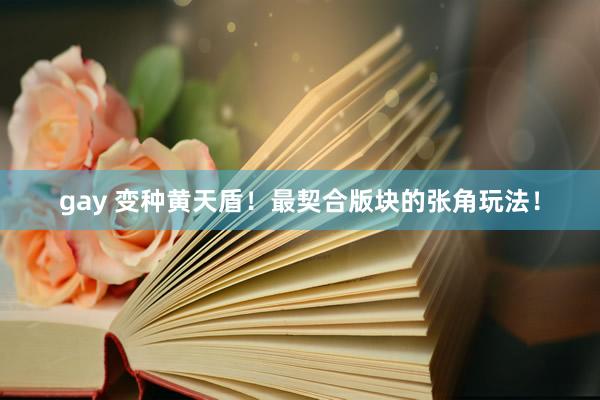 gay 变种黄天盾！最契合版块的张角玩法！