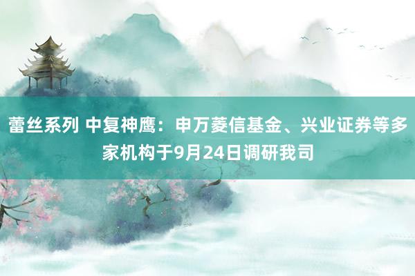 蕾丝系列 中复神鹰：申万菱信基金、兴业证券等多家机构于9月24日调研我司