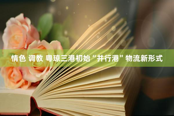 情色 调教 粤琼三港初始“并行港”物流新形式