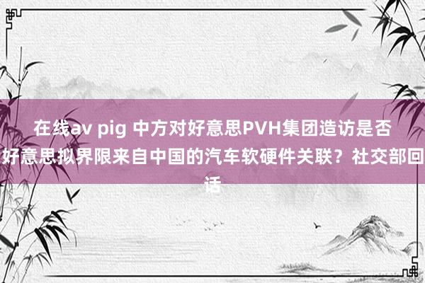 在线av pig 中方对好意思PVH集团造访是否和好意思拟界限来自中国的汽车软硬件关联？社交部回话