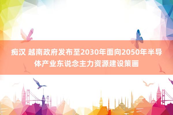 痴汉 越南政府发布至2030年面向2050年半导体产业东说念主力资源建设策画