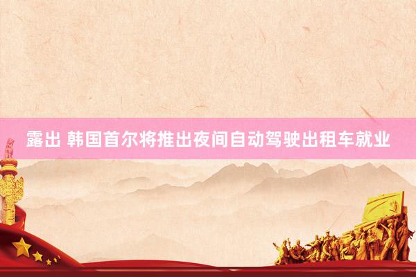 露出 韩国首尔将推出夜间自动驾驶出租车就业