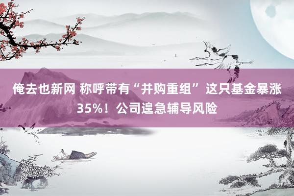 俺去也新网 称呼带有“并购重组” 这只基金暴涨35%！公司遑急辅导风险