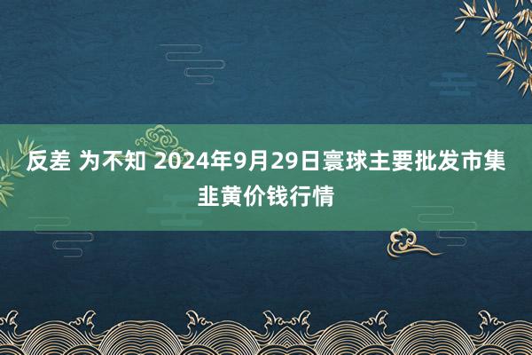 反差 为不知 2024年9月29日寰球主要批发市集韭黄价钱行情