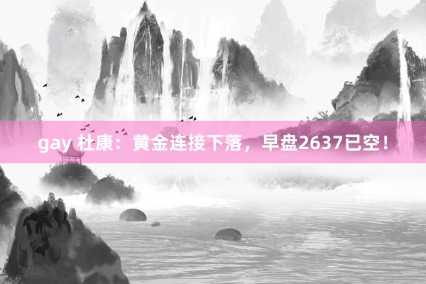 gay 杜康：黄金连接下落，早盘2637已空！