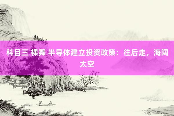 科目三 裸舞 半导体建立投资政策：往后走，海阔太空
