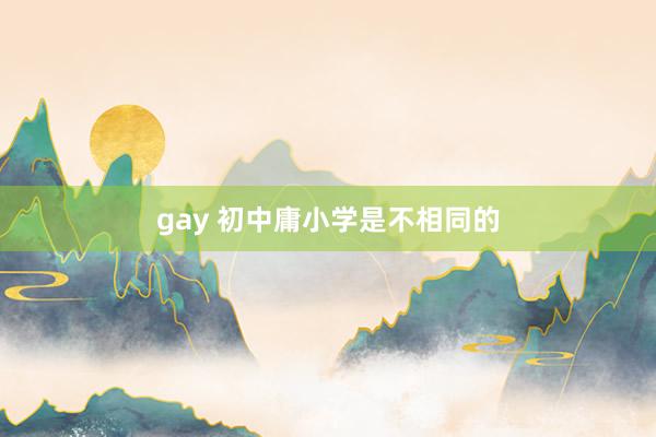gay 初中庸小学是不相同的