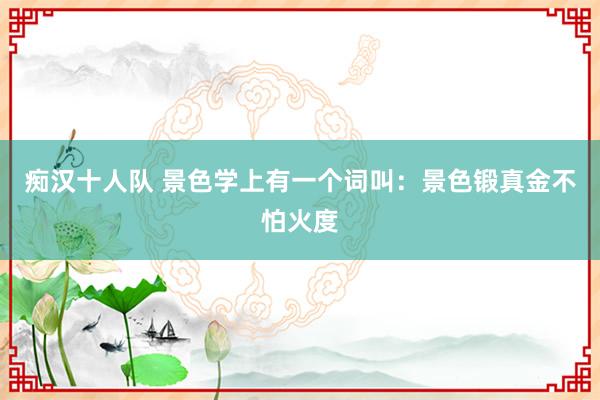 痴汉十人队 景色学上有一个词叫：景色锻真金不怕火度