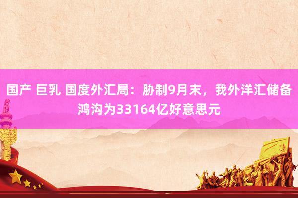 国产 巨乳 国度外汇局：胁制9月末，我外洋汇储备鸿沟为33164亿好意思元