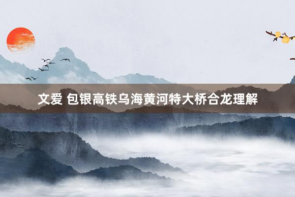 文爱 包银高铁乌海黄河特大桥合龙理解