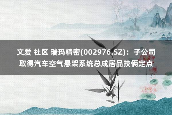 文爱 社区 瑞玛精密(002976.SZ)：子公司取得汽车空气悬架系统总成居品技俩定点