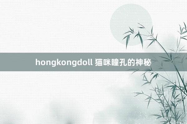 hongkongdoll 猫咪瞳孔的神秘