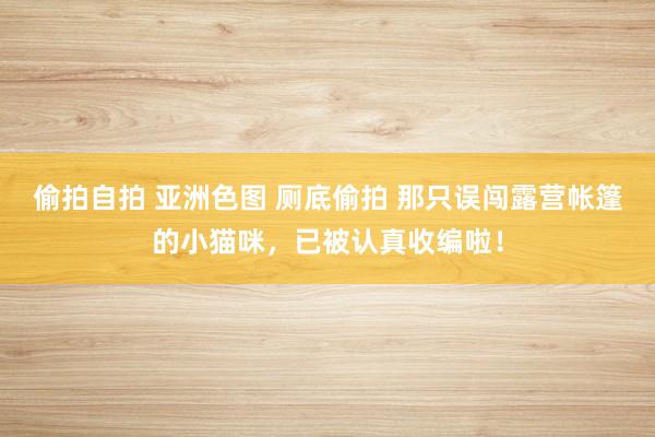 偷拍自拍 亚洲色图 厕底偷拍 那只误闯露营帐篷的小猫咪，已被认真收编啦！