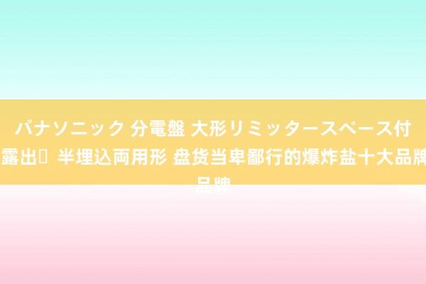 パナソニック 分電盤 大形リミッタースペース付 露出・半埋込両用形 盘货当卑鄙行的爆炸盐十大品牌