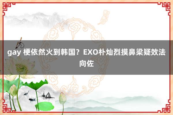 gay 梗依然火到韩国？EXO朴灿烈摸鼻梁疑效法向佐
