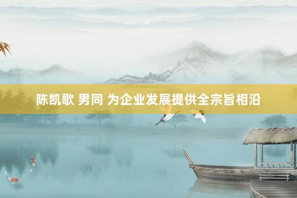 陈凯歌 男同 为企业发展提供全宗旨相沿
