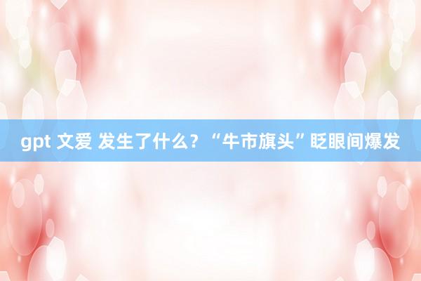 gpt 文爱 发生了什么？“牛市旗头”眨眼间爆发