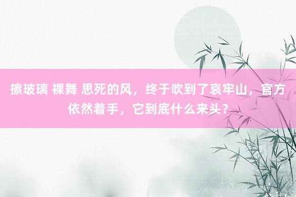 擦玻璃 裸舞 思死的风，终于吹到了哀牢山，官方依然着手，它到底什么来头？
