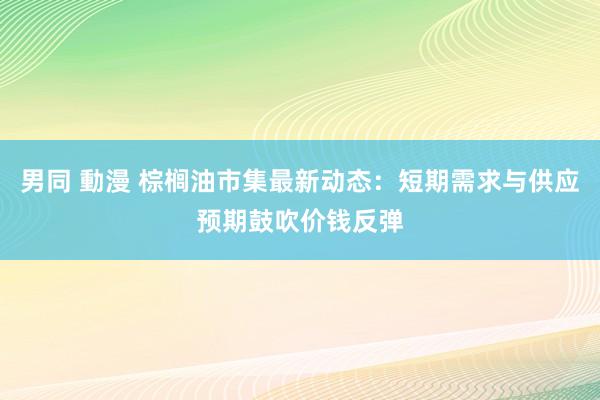 男同 動漫 棕榈油市集最新动态：短期需求与供应预期鼓吹价钱反弹